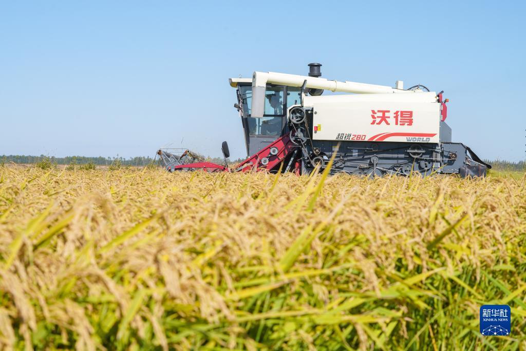 网上十大赌场排名